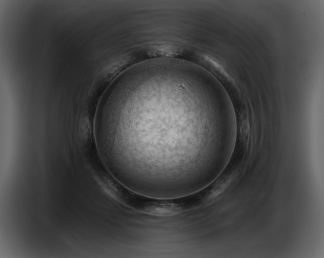 X0000087740459200705071056