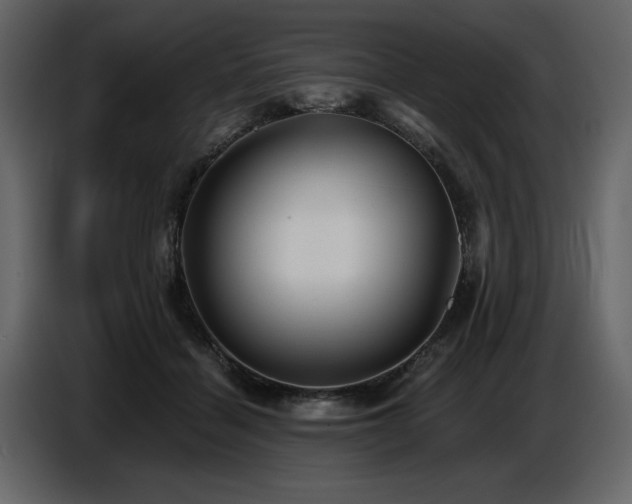 X0000087740460200705071056