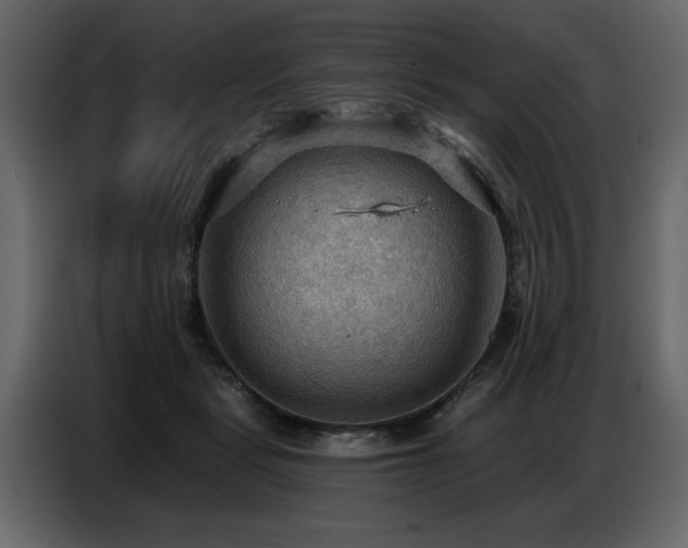 X0000087740461200705071056