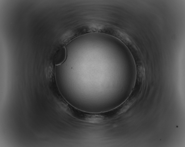 X0000087740463200705071056