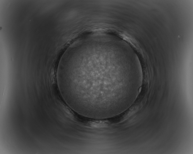 X0000087740465200705071056