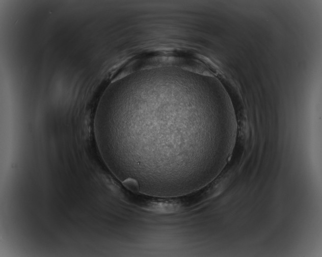 X0000087740466200705071056