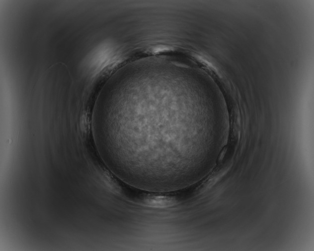 X0000087740467200705071056