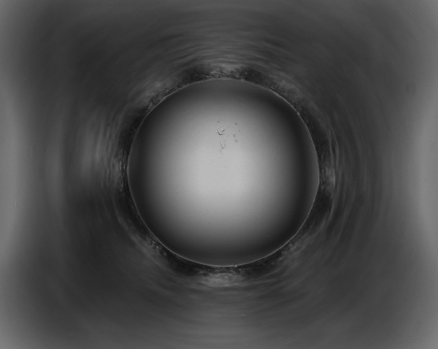 X0000087740468200705071056