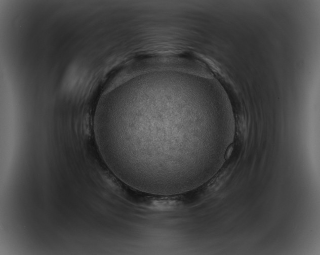 X0000087740470200705071056