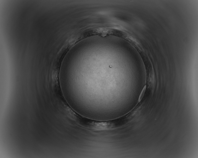 X0000087740473200705071056