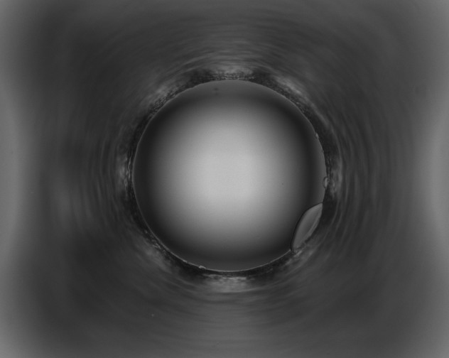 X0000087740476200705071056
