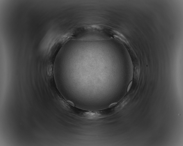 X0000087740477200705071056