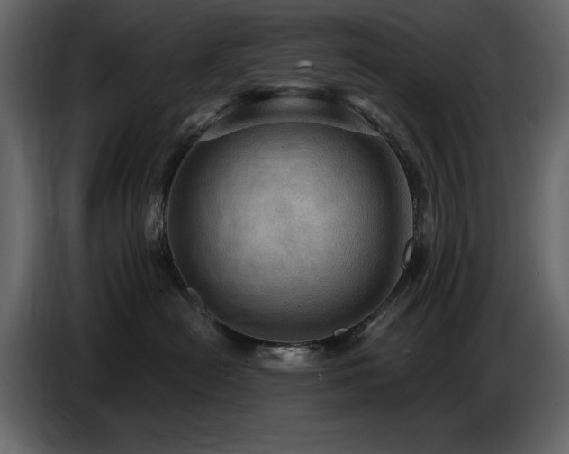 X0000087740478200705071056
