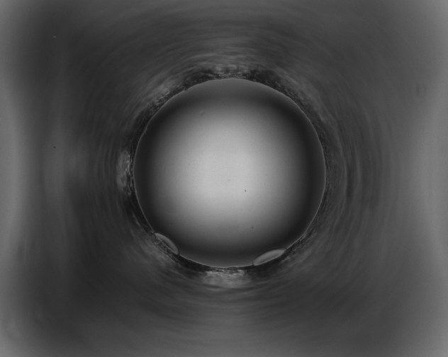 X0000087740480200705071056