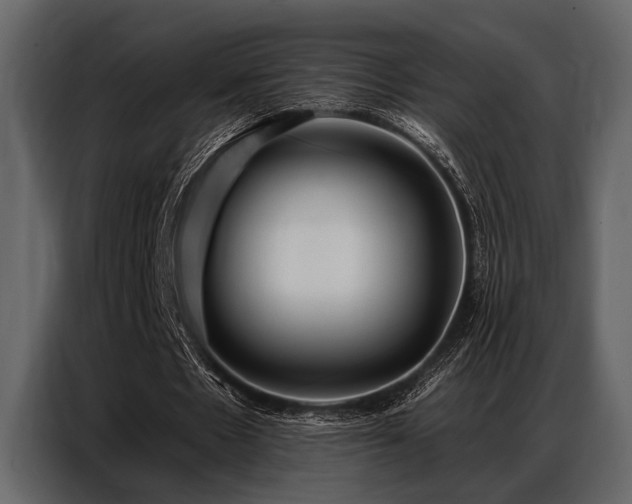 X0000087740481200705071056