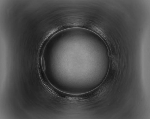 X0000087740482200705071056
