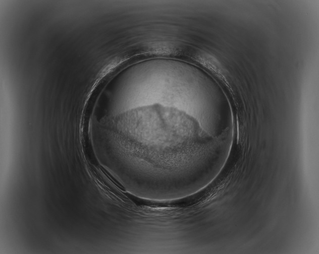X0000087740483200705071056