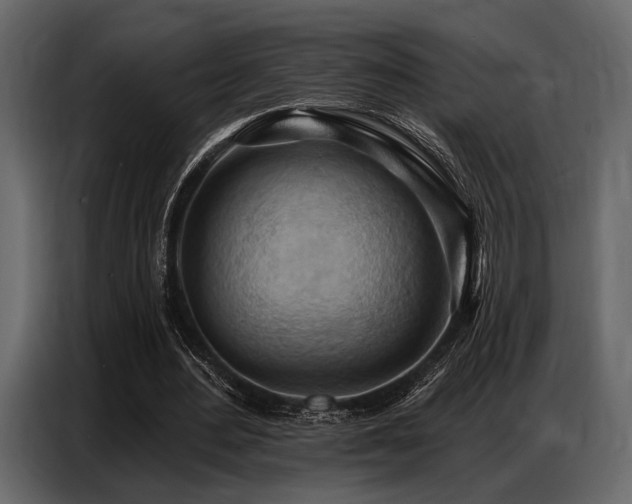 X0000087740484200705071055