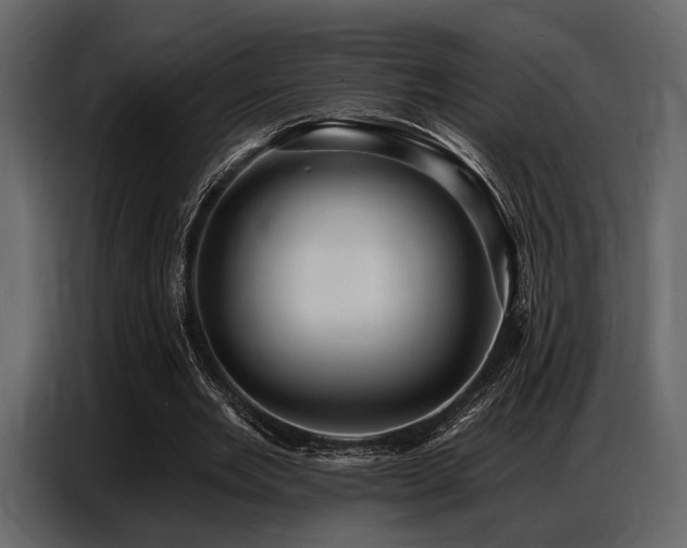 X0000087740485200705071055
