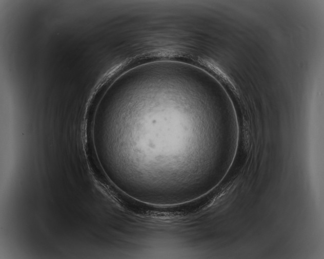 X0000087740486200705071055
