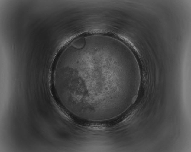 X0000087740487200705071055