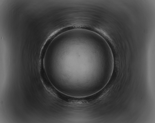 X0000087740488200705071055
