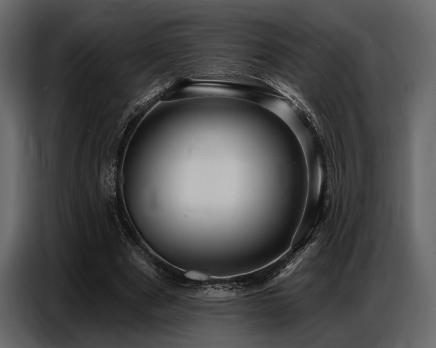 X0000087740489200705071055