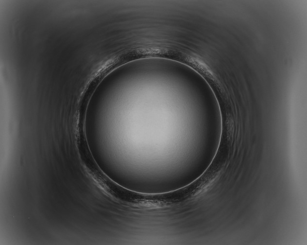 X0000087740490200705071055