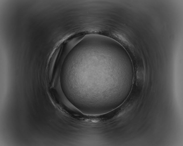 X0000087740492200705071055