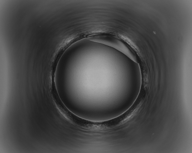 X0000087740493200705071055