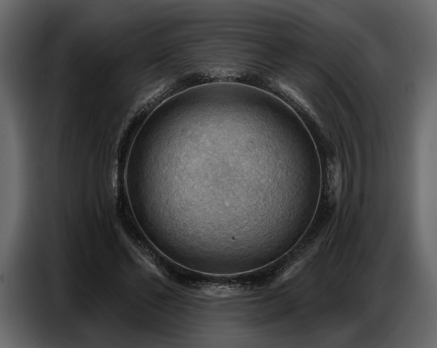 X0000087740494200705071055