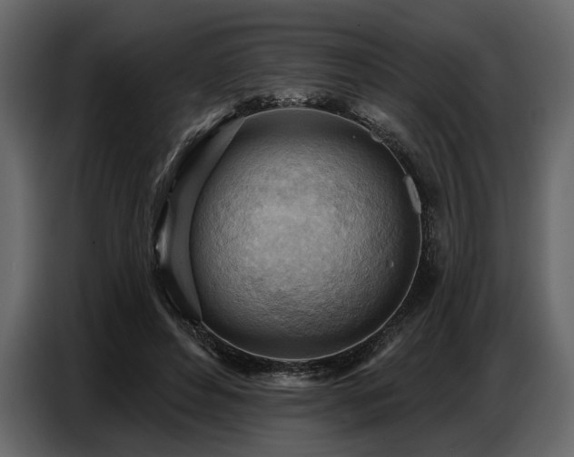 X0000087740496200705071055