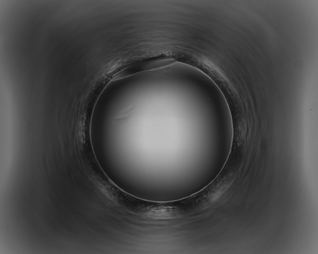 X0000087740497200705071055