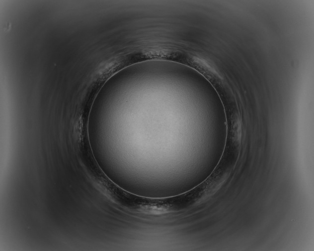X0000087740498200705071055