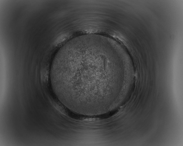 X0000087740499200705071055
