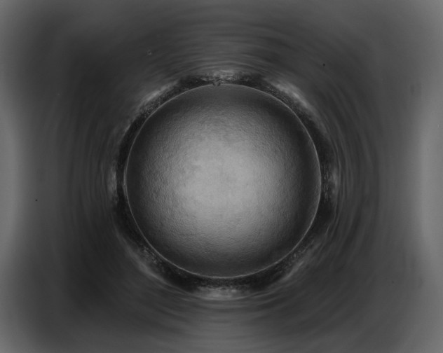 X0000087740500200705071055