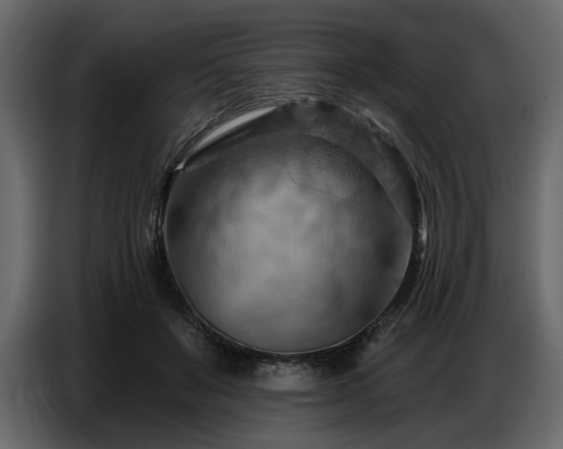 X0000087740503200705071055