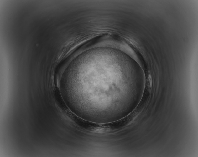 X0000087740504200705071055
