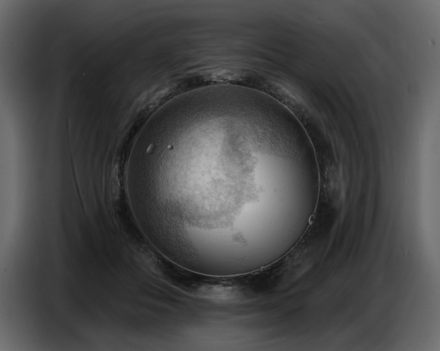 X0000087740506200705071055