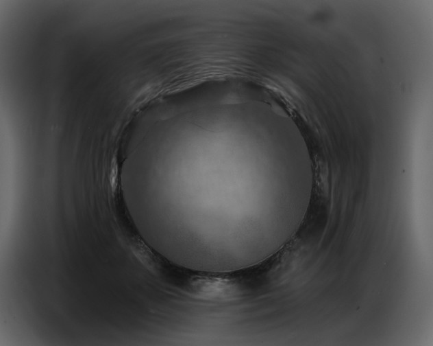 X0000087740507200705071055