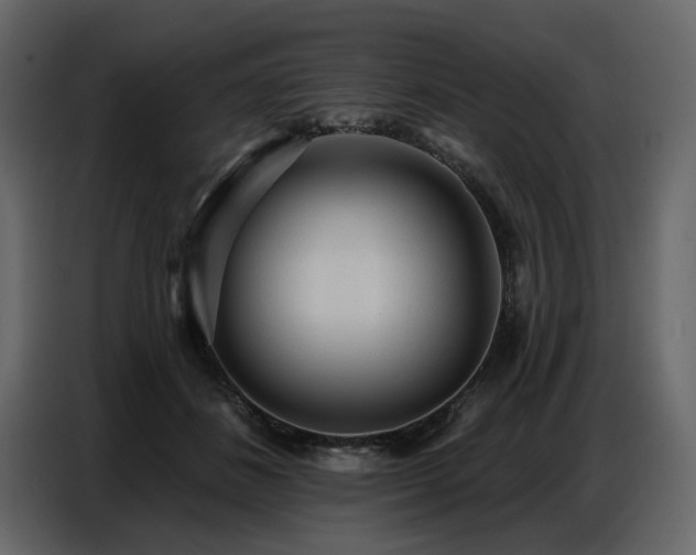 X0000087740508200705071055