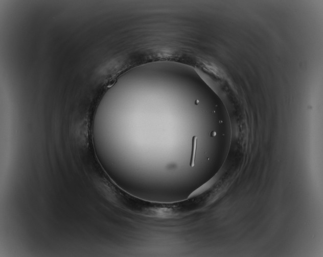 X0000087740509200705071055