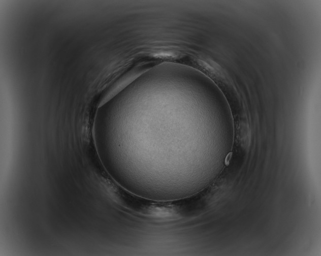 X0000087740510200705071055