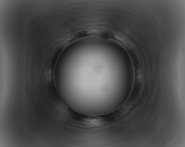 X0000087740514200705071055
