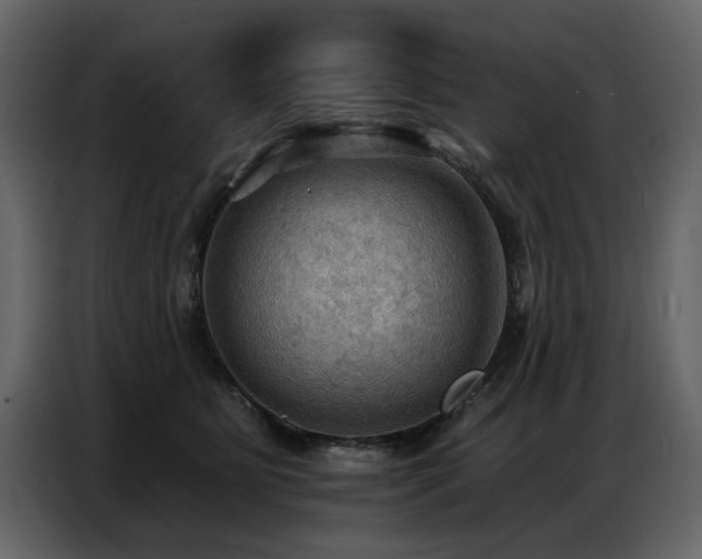 X0000087740515200705071055