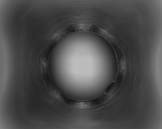 X0000087740522200705071055
