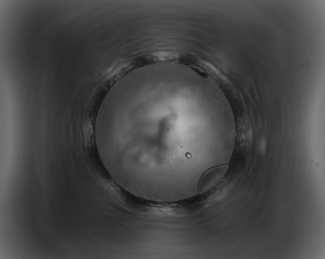 X0000087740523200705071055