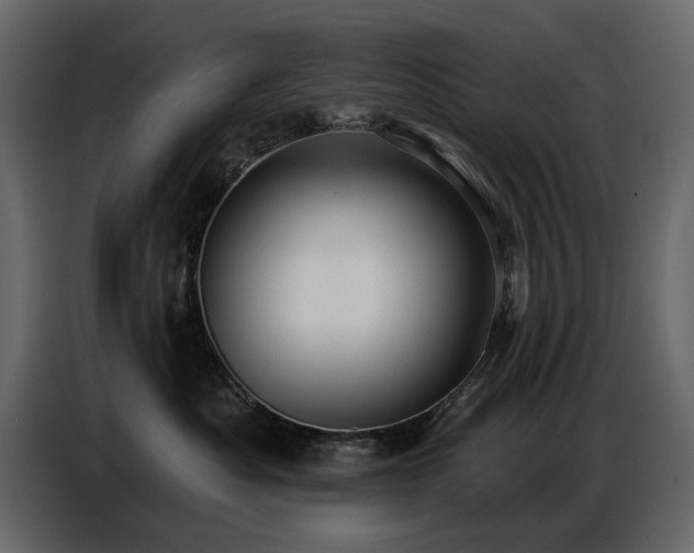 X0000087740525200705071055