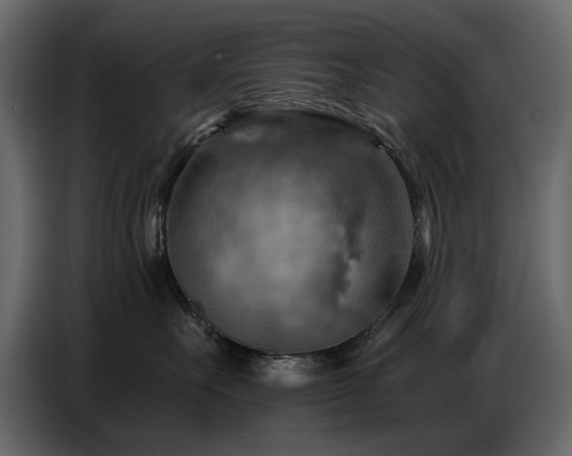 X0000087740527200705071055