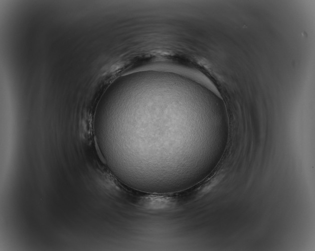 X0000087740528200705071055