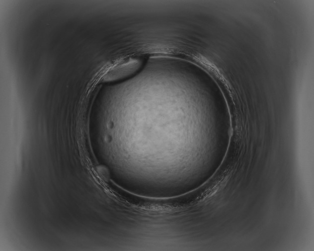 X0000087740529200705071054