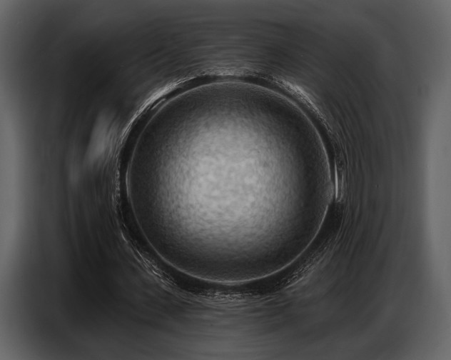 X0000087740531200705071054