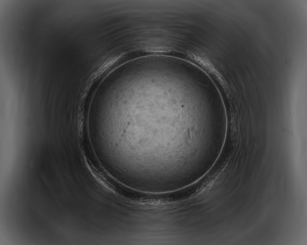 X0000087740533200705071054