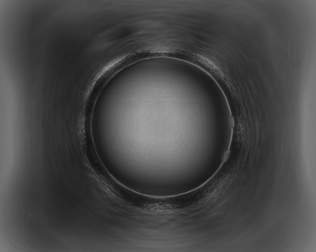 X0000087740535200705071054